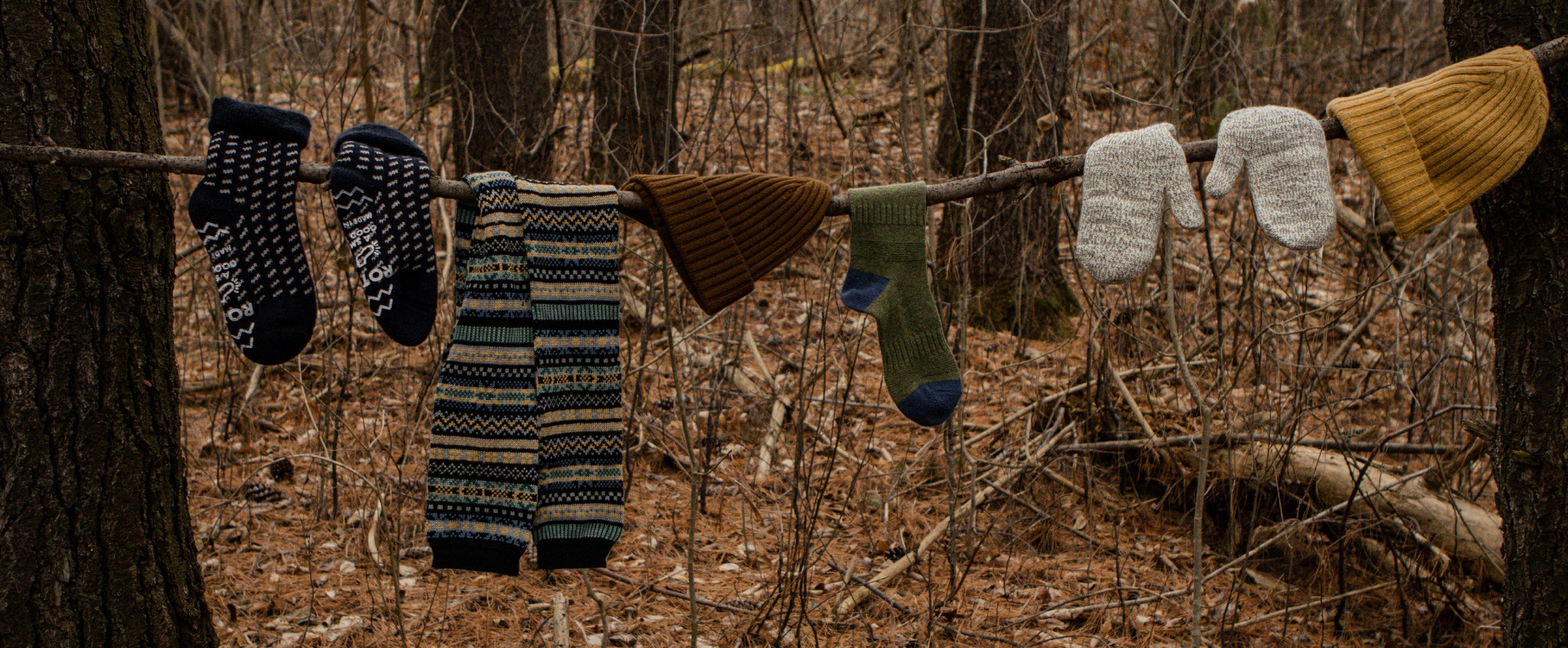 A branch in a forest holds hanging winter clothes: two pairs of socks, patterned pants, two knit hats, and a pair of mittens, surrounded by bare trees and fallen leaves.
