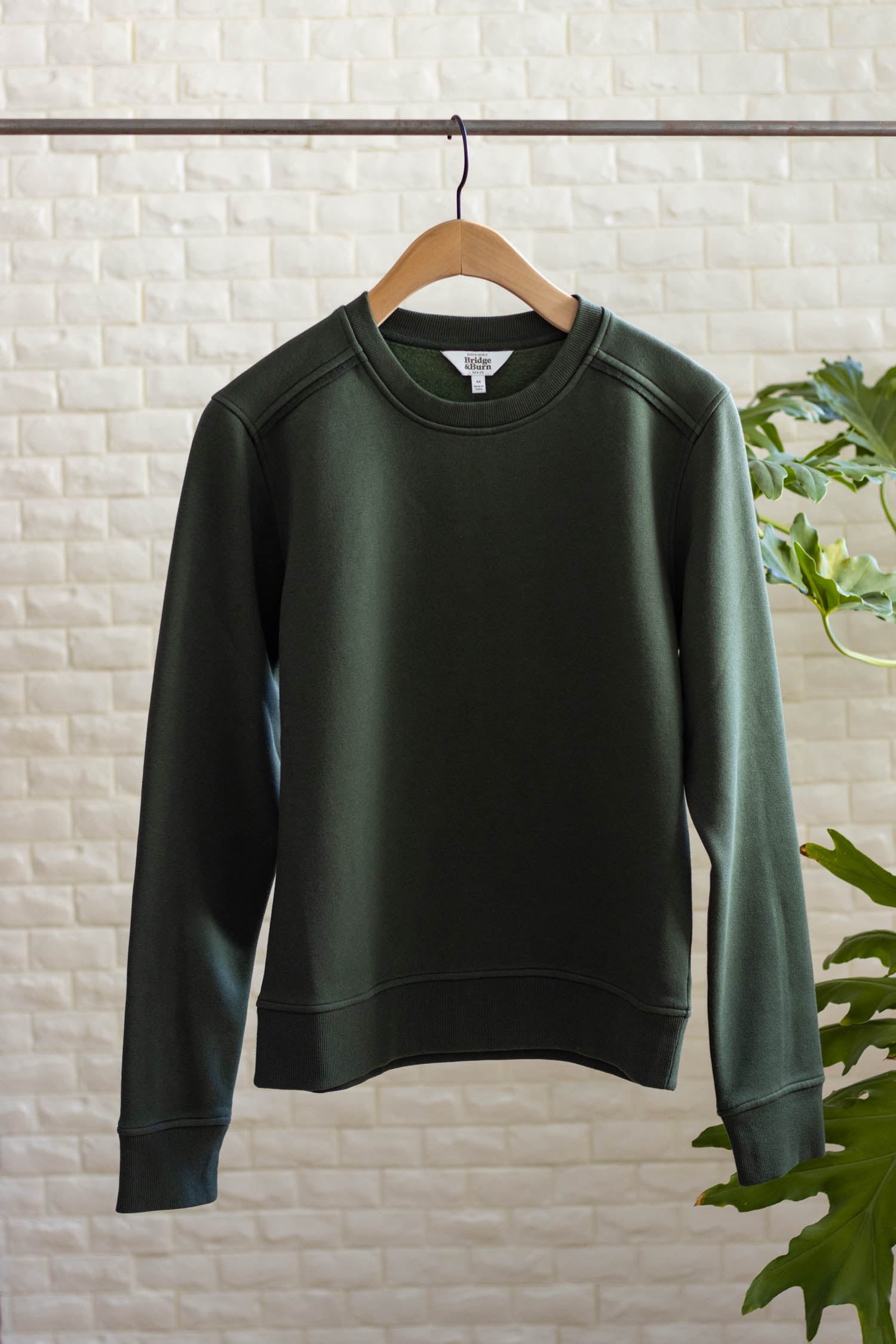 The Bridge & Burn Bailey Crew Sweatshirt in Forest Night hangs on a wooden hanger against a white textured wall, with green leafy plants partly visible on the right.